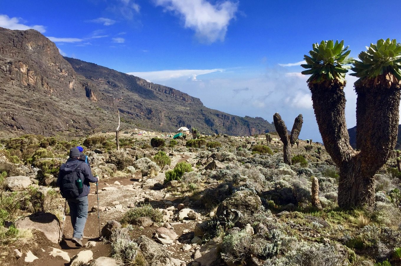 climb-kilimanjaro-via-machame-route