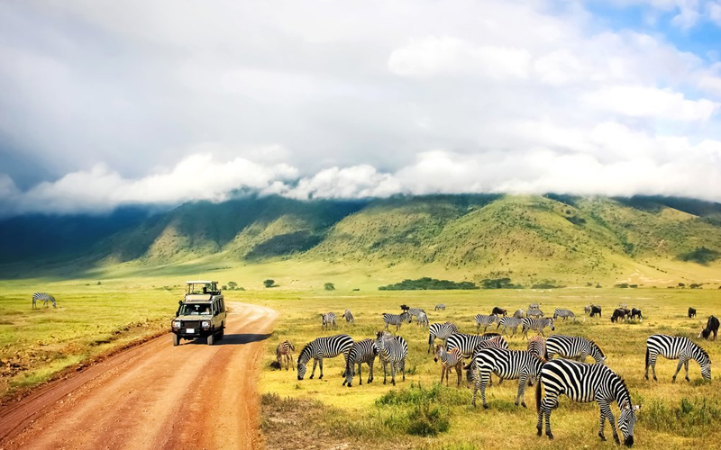 The 2024 Guide to Tanzania’s Serengeti Migration Safari