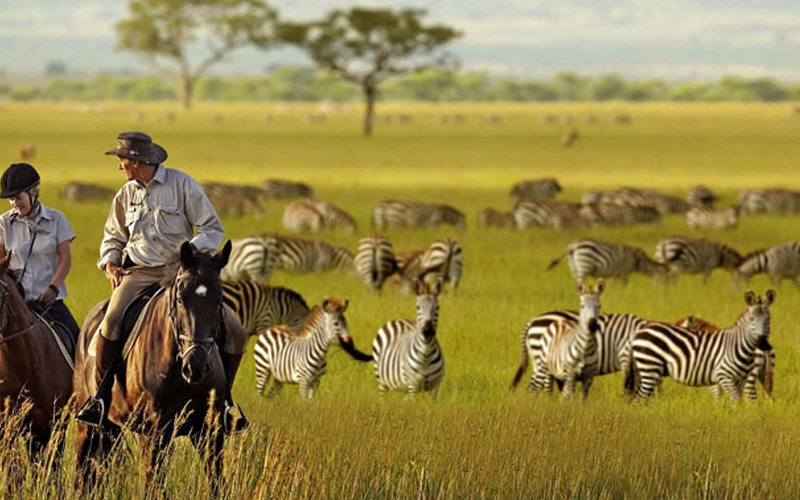 Why Tanzania is a Top Spot for Eco-Friendly Tourism in 2024