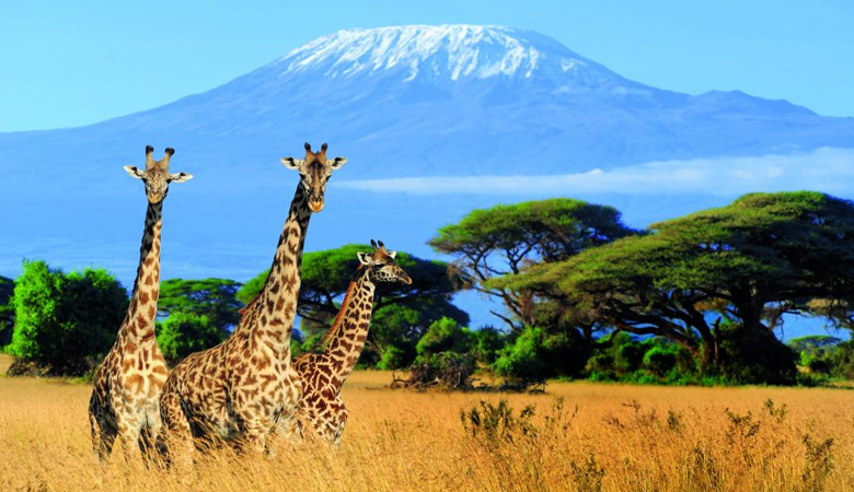 Is Tanzania Safe for Solo Travelers? Latest Safety Updates for 2024