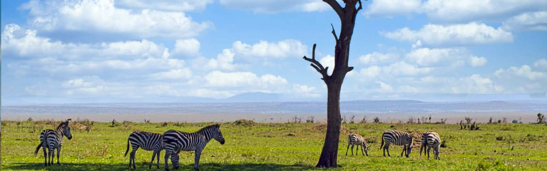 Is Tanzania Safe for Solo Travelers? Latest Safety Updates for 2024