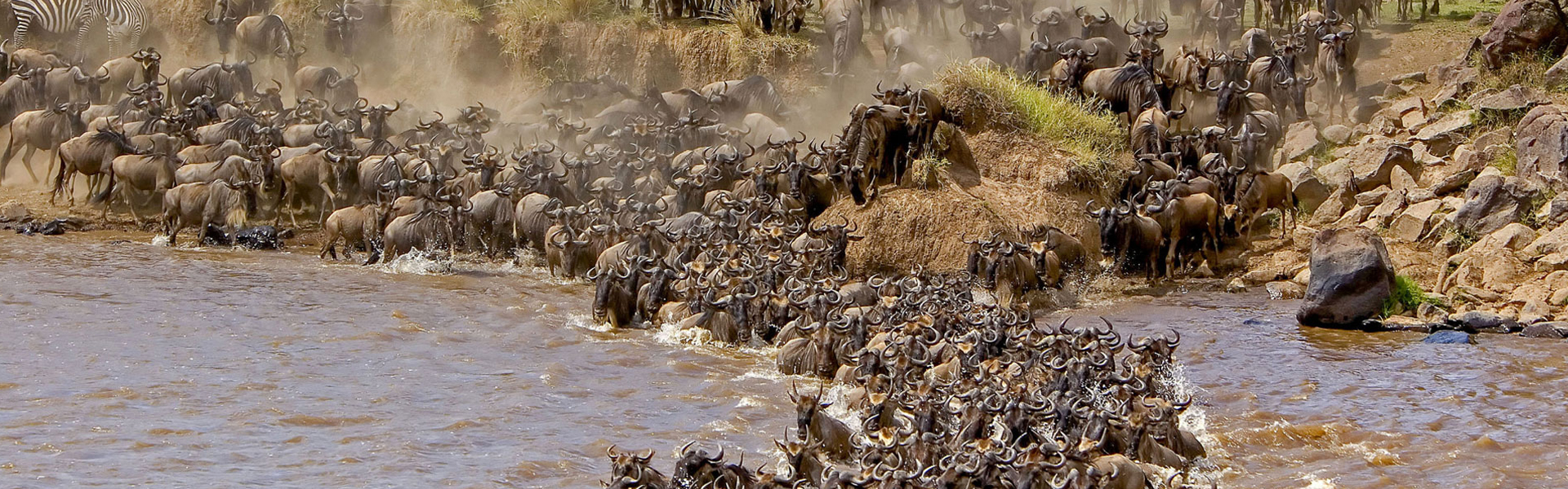 2025 Serengeti Migration Guide: What to Expect This January