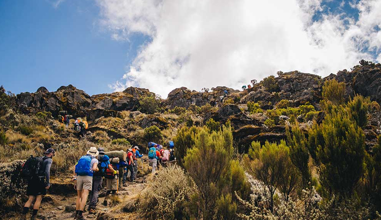 The Best Time to Trek Kilimanjaro: Christmas and New Year 2024/2025