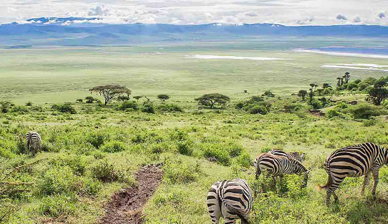 New Conservation Zones in Tanzania: What They Mean for Safaris in 2025