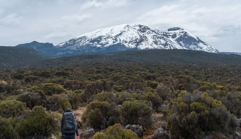 Tanzania Kilimanjaro Trek: Start Your 2025 with an Epic Adventure