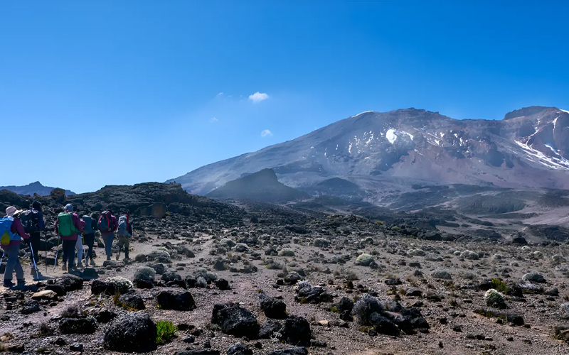 Kilimanjaro Trekking 2025: Exploring the New Sustainable Trails