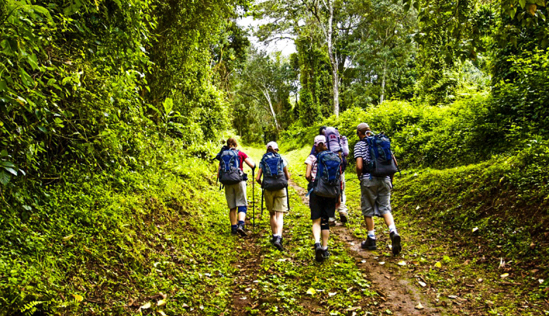 Eco-Friendly Trekking: Sustainable Routes on Mount Kilimanjaro