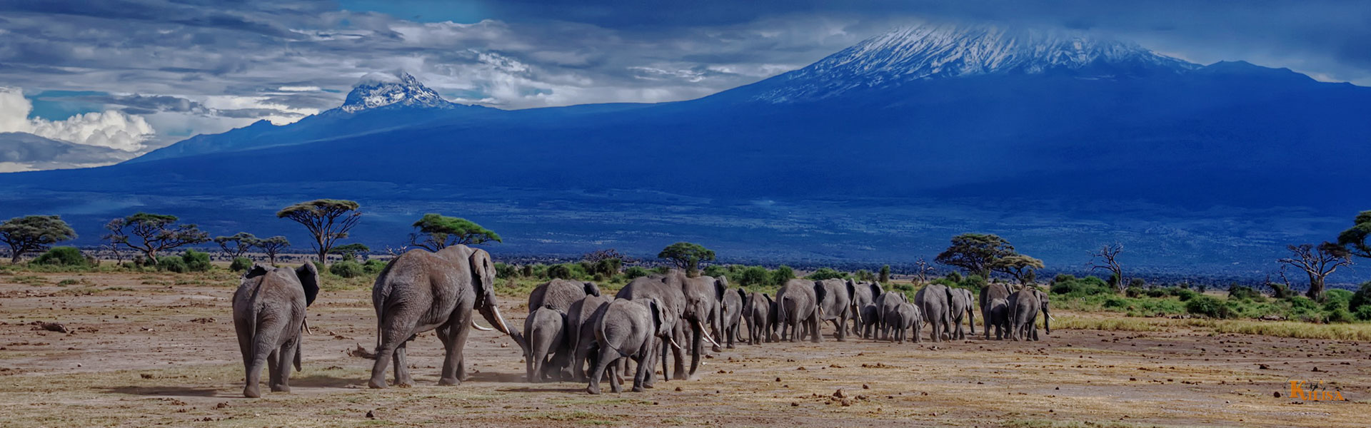 Mountain Kilimanjaro National Park