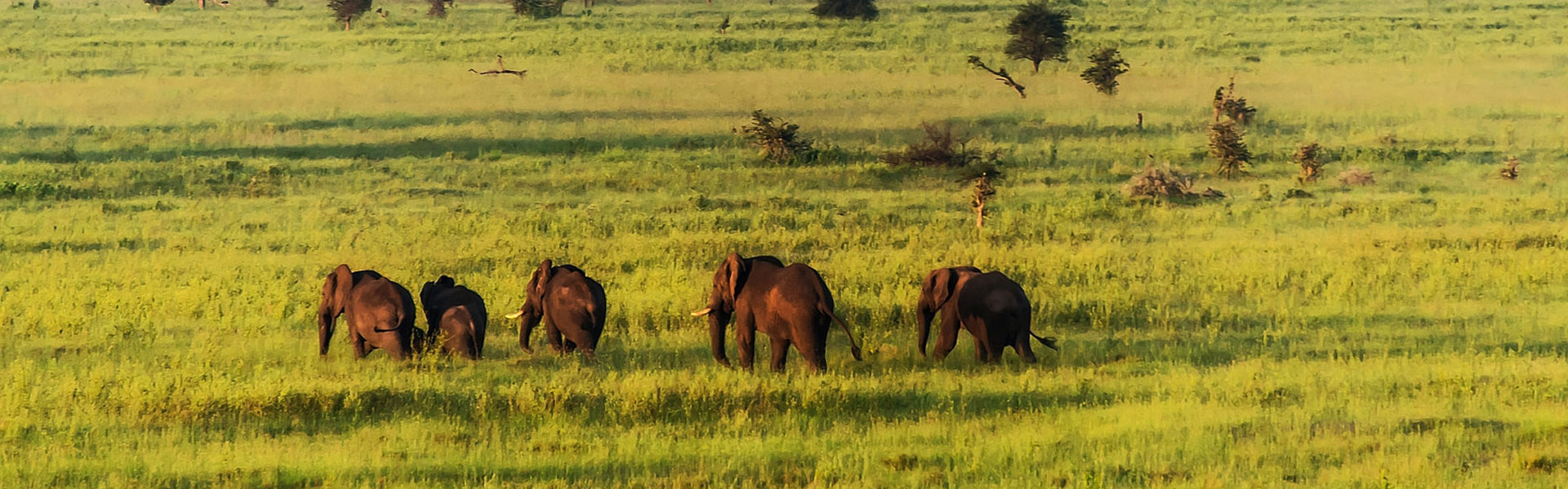 Tanzania Mid Range Safari 