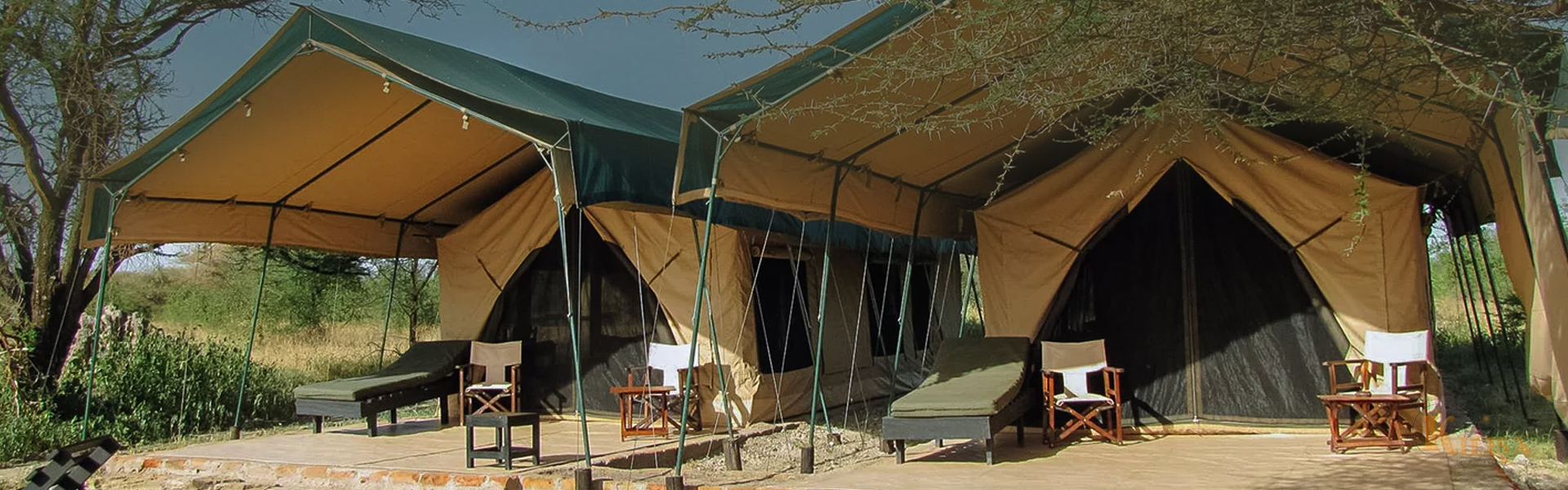Tanzania Budget Camping Safari (Tarangire, Ngorongoro Crater & Lake Manyara)
