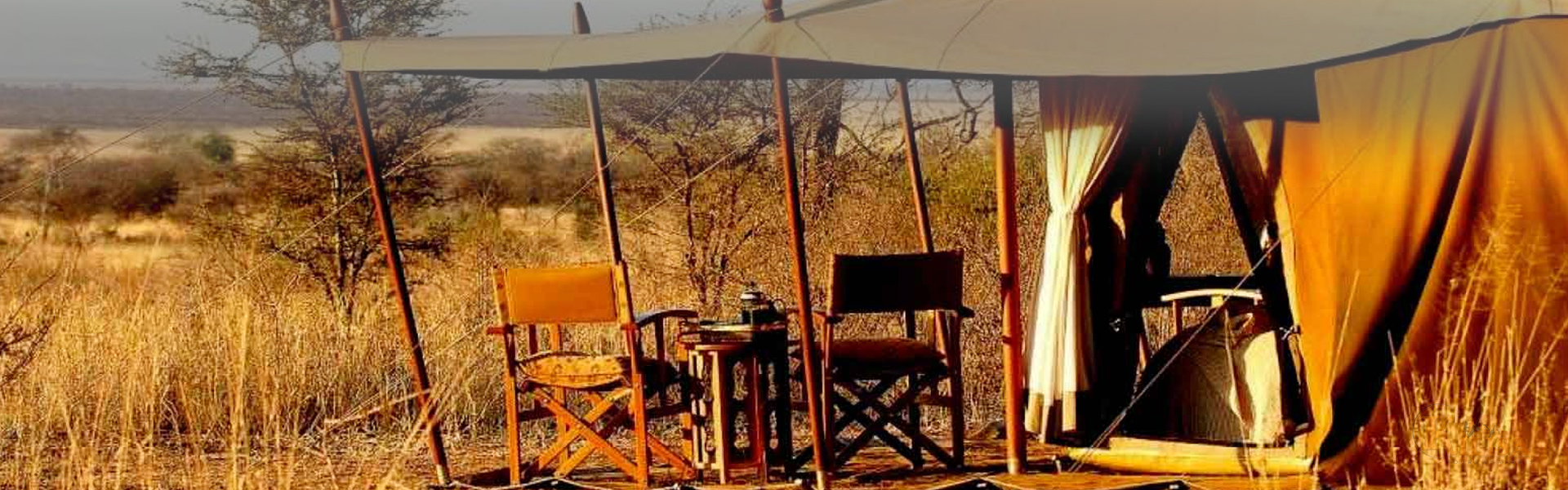 Budget Camping Safari (Tarangire, Ngorongoro, Serengeti & Lake Manyara)