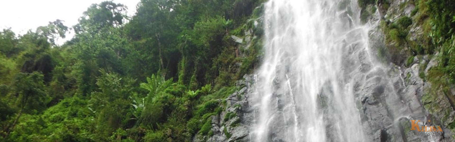 Materuni Waterfall and Coffee Tour
