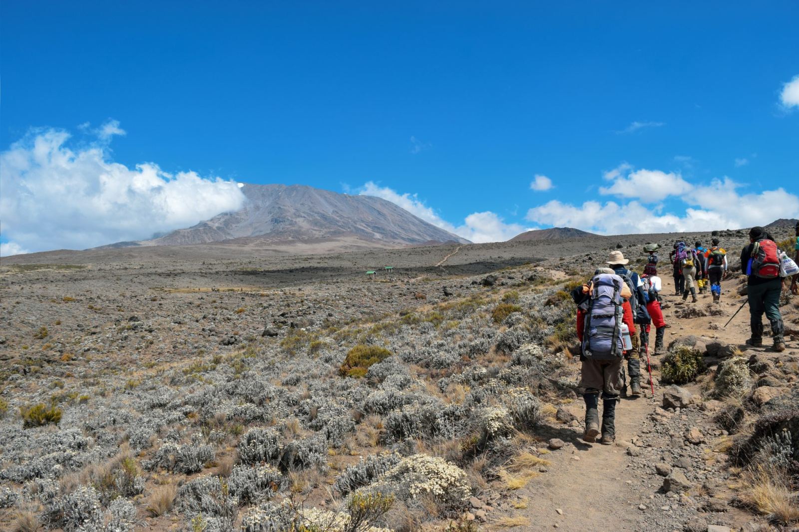 Trekkers on a moorland path with Kilimanjaro in the distance