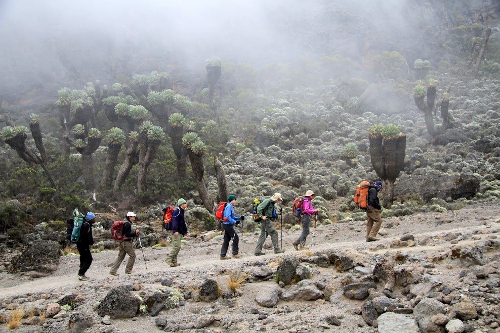 Best Time to Climb Kilimanjaro