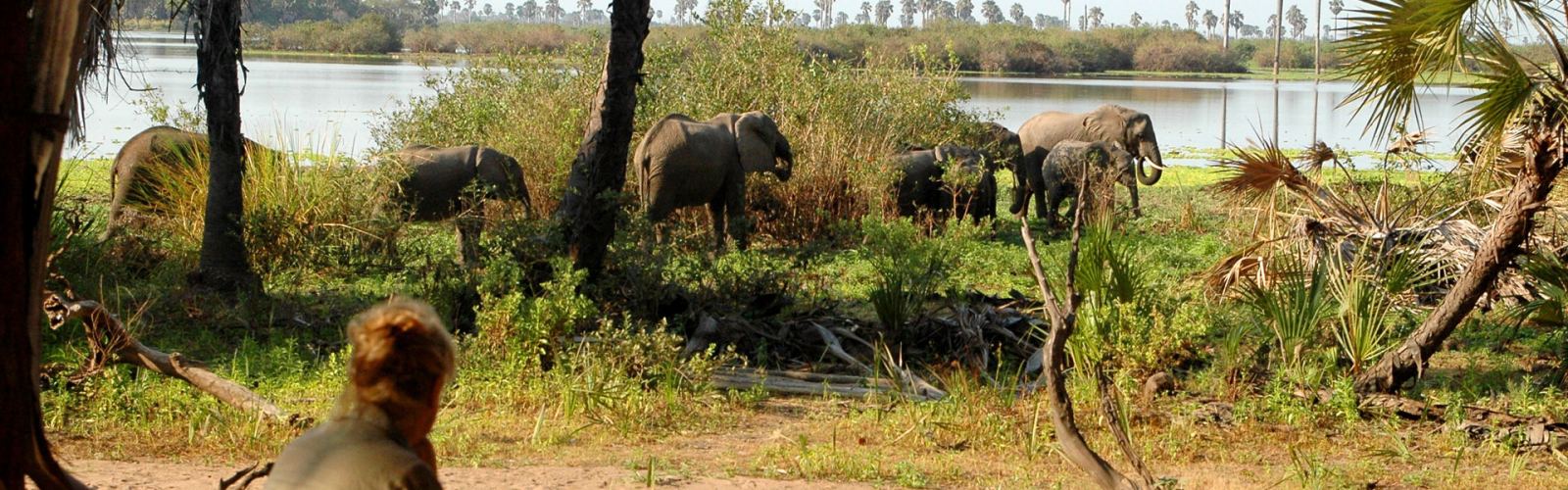 Enjoy a 2-day Tanzania mid-range safari in Serengeti or Ngorongoro. Balanced comfort and Big Five sightings