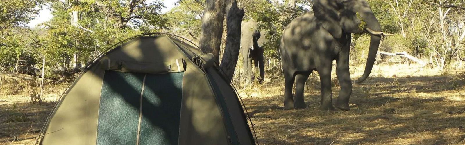 4-days-tanzania-budget-camping-safari-manyara-ngorongoro-serengeti