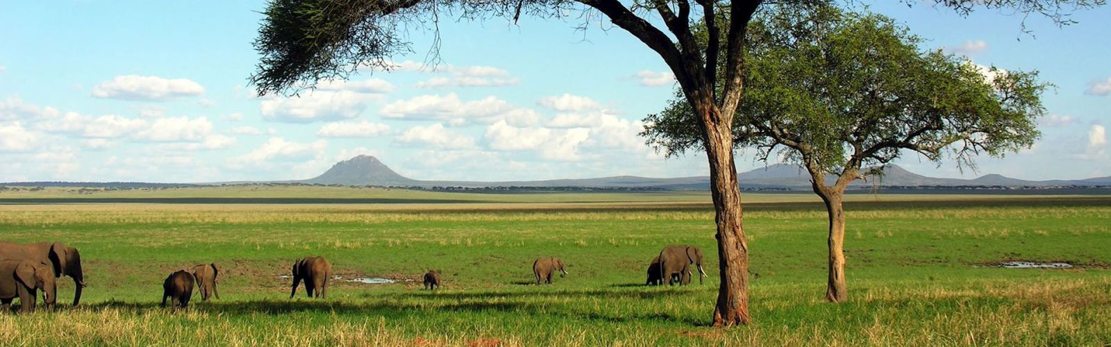7 Days Tanzania Budget Camping Safari Tarangire National Park, Lake Natron, Serengeti National Park, Ngorongoro Crater