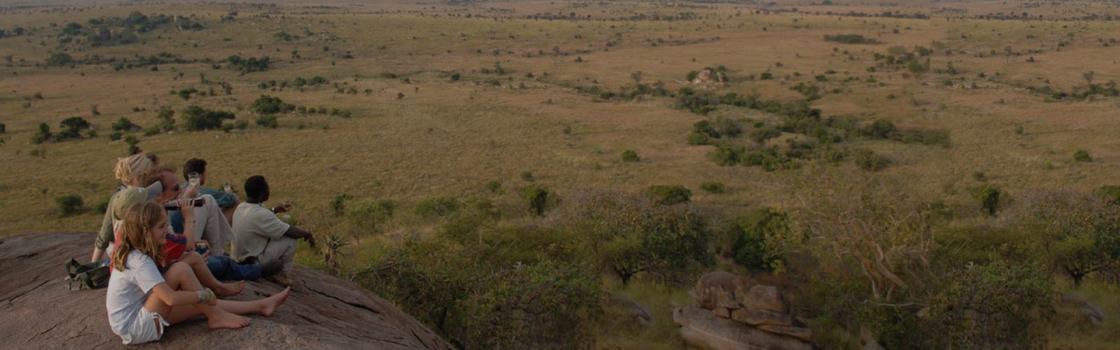 Explore the best time to go on a safari in Tanzania, from the dry season (June-Oct) for wildlife