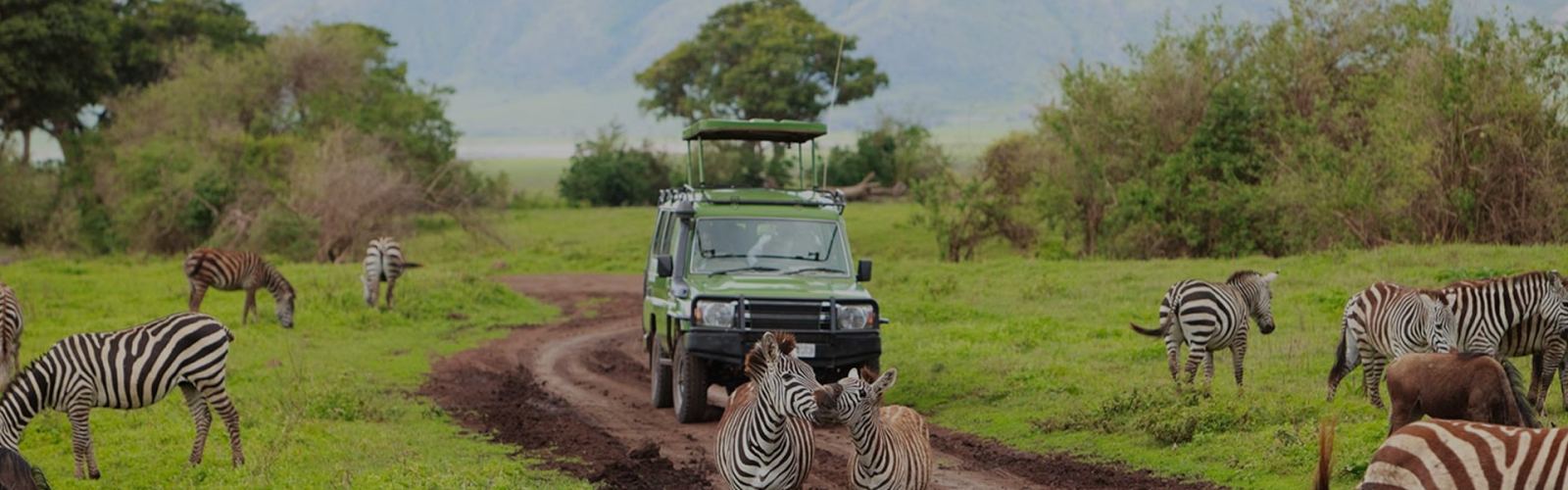 Discover how to travel to Tanzania with this guide, covering visas, flights, best times to visit, and top tips for an unforgettable trip