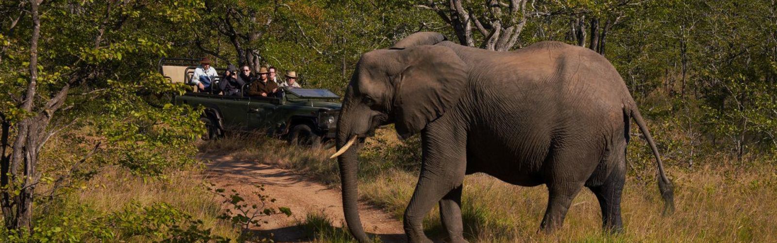 Check this list of things to take on a Tanzania safari—clothes, gear, and must-haves for Serengeti or Ngorongoro