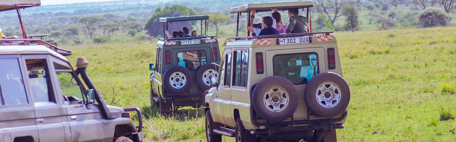 Explore Tanzania in style with Kilisa Tours’ safari vehicle—custom 4x4s built for comfort and epic wildlife views in Serengeti and beyond