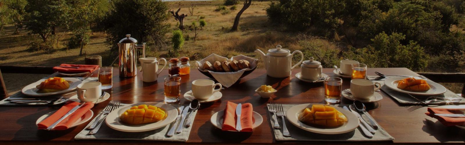 Discover Tanzania safari food—fresh meals, local flavors, and camp dining. From bush breakfasts to lodge feasts, plan your tasty safari experience today