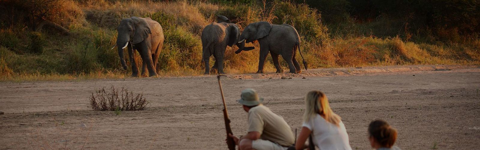 Learn what to take on a Tanzania safari—clothes, gear, and tips for Serengeti or Kilimanjaro. Pack smart for your wildlife adventure