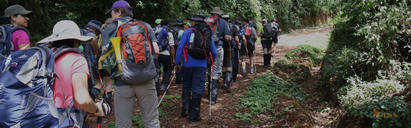 8 Days Machame Route – Best Kilimanjaro Trek for Acclimatization & Success