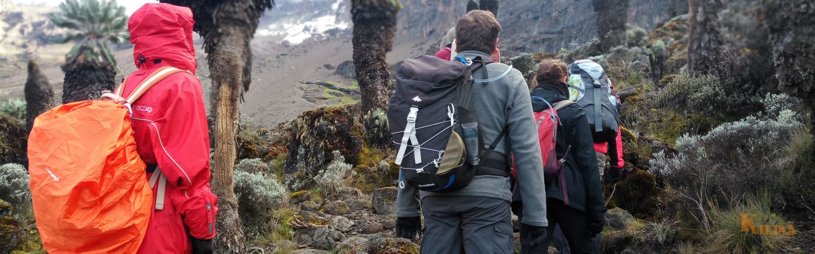 6 Days Rongai Route – Kilimanjaro’s Quiet Northern Approach