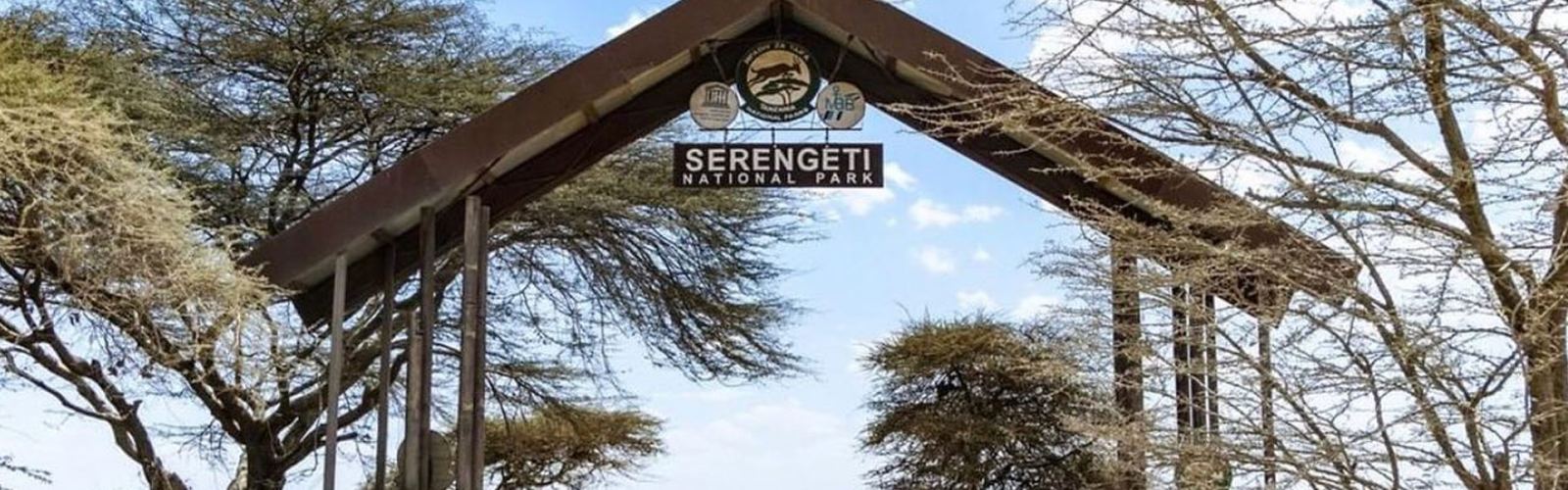 Explore Tanzania with a combination safari—Serengeti, Ngorongoro, Zanzibar & more. Discover how to mix wildlife, culture, and beach in one unforgettable trip