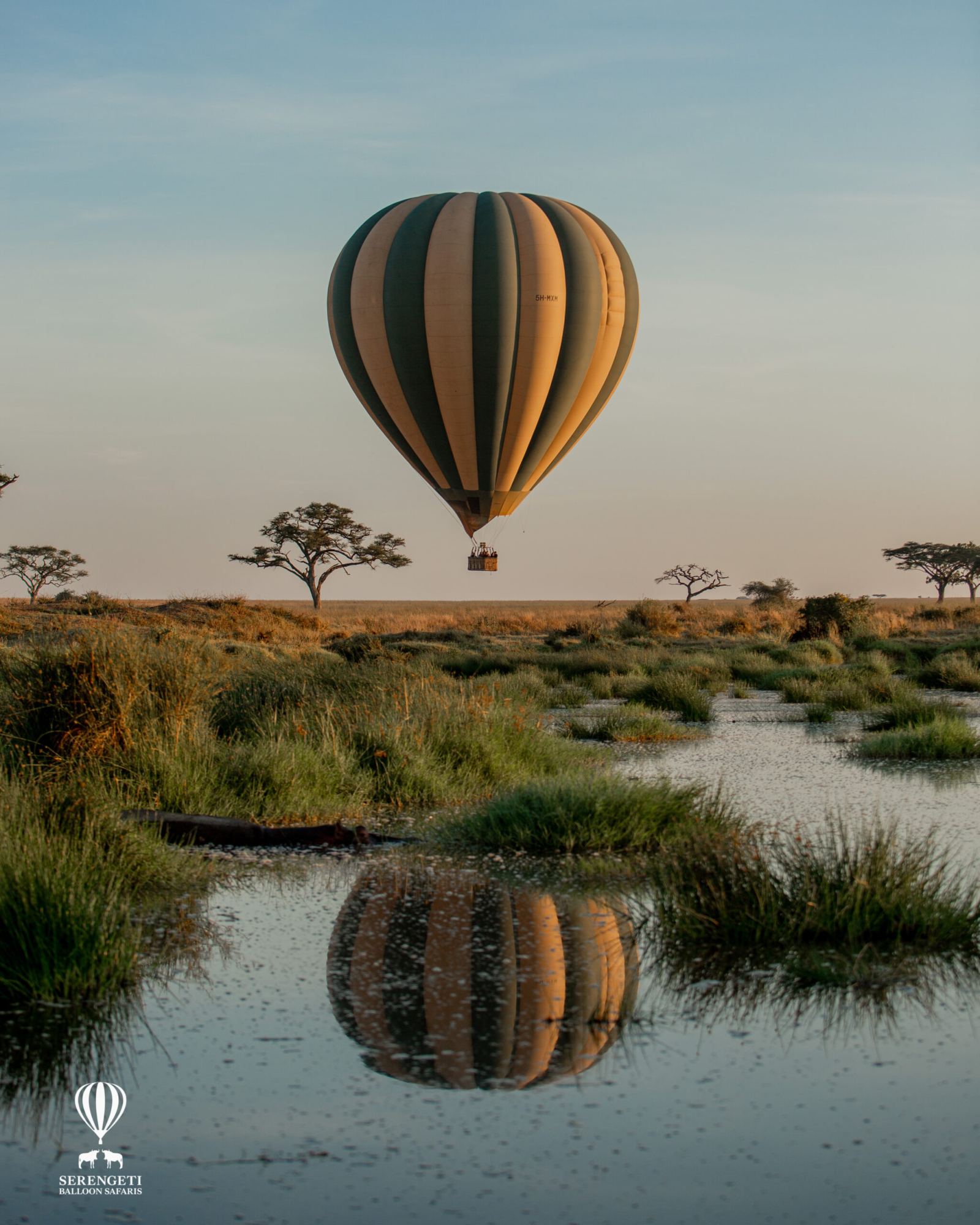 Hot-air balloon above a waterhole at sunrise, reflected in the water
