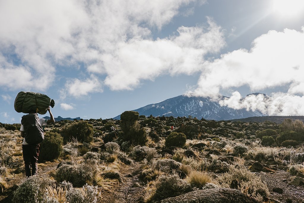 Porter carrying a load across the moorland with Kilimanjaro behind