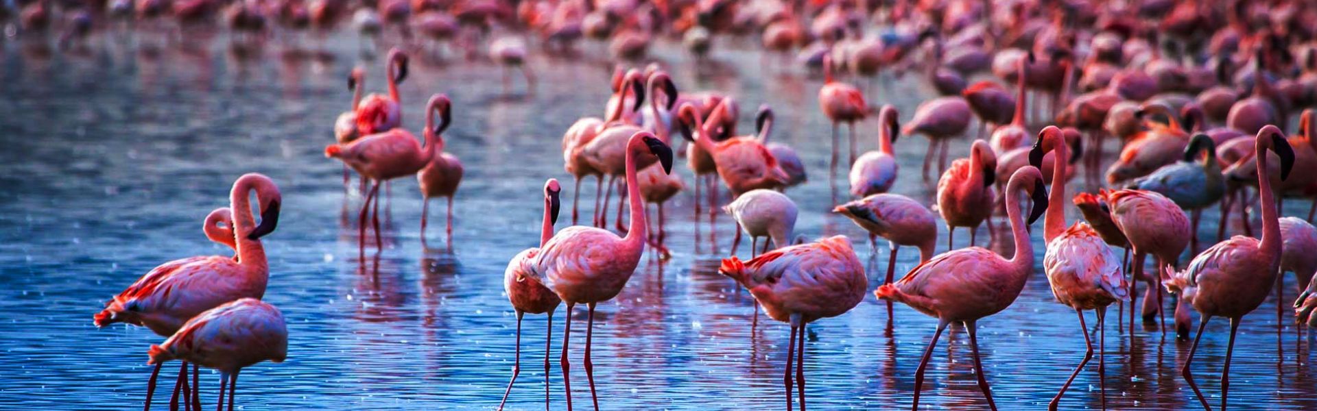 10-days-kilimanjaro-combine-tour
