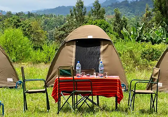 2-days-camping-tour-program-tarangire-ngorongoro