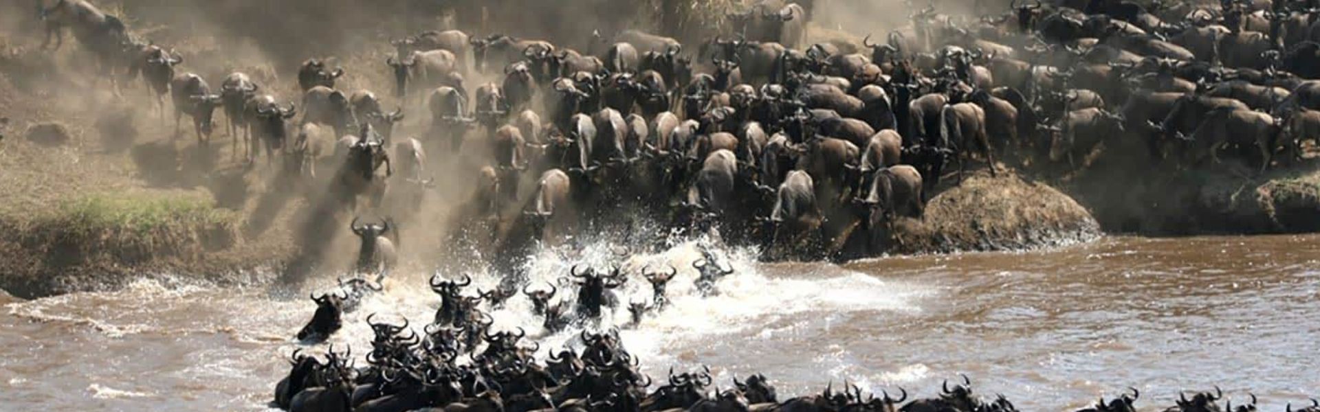 Witness a 5-day wildebeest migration safari in Tanzania’s Serengeti. See millions move with the Big Five