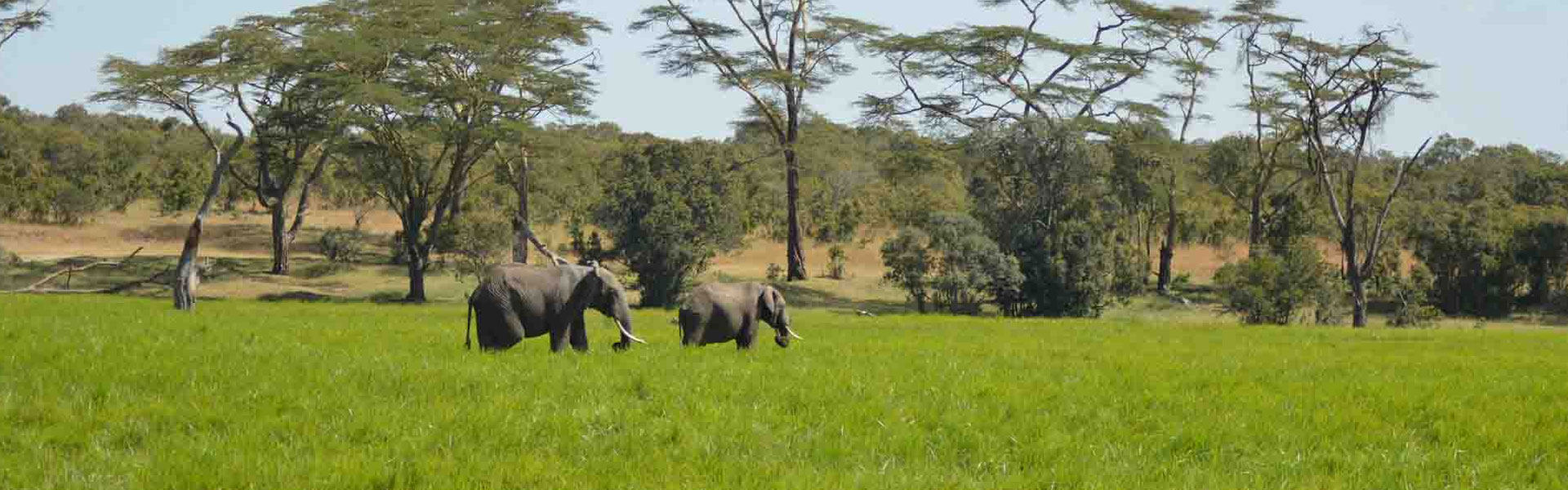 6-days-camping-tour-program-manyara-serengeti-ngorongoro-banner