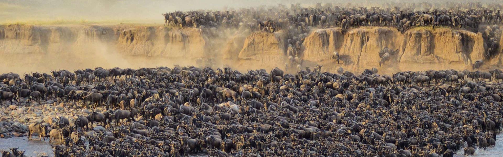 Witness the 6-day Great Serengeti Migration Safari in Tanzania. See millions of wildebeest and Big Five in action