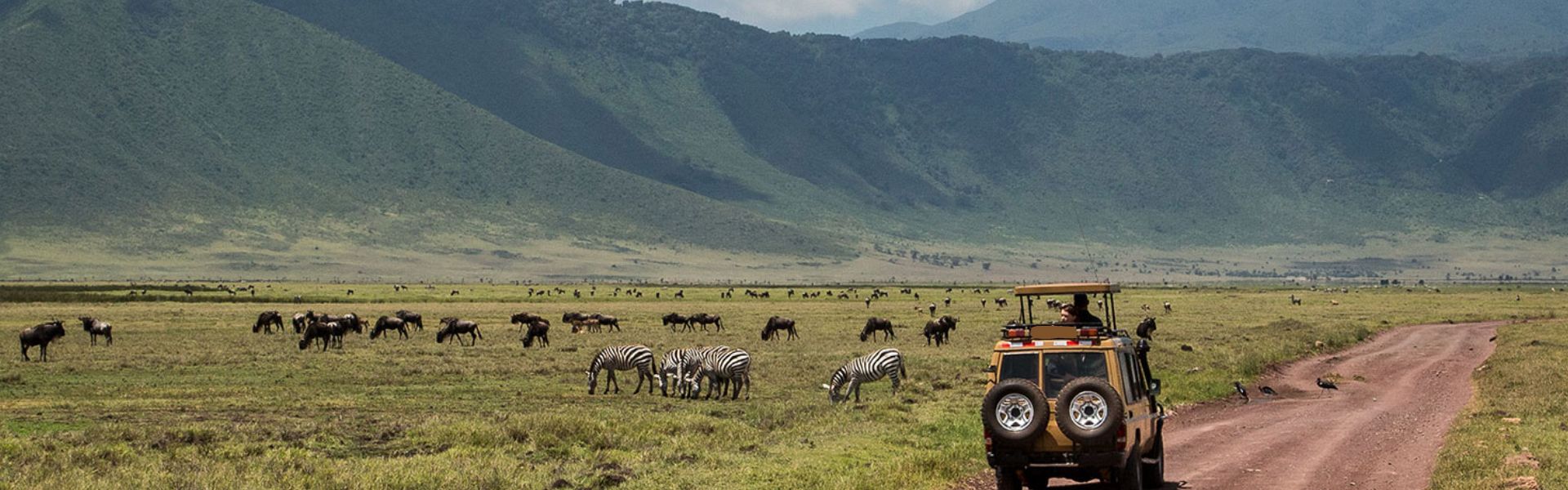 Join a 6-day Tanzania safari to Lake Manyara, Eyasi, Natron, and Ngorongoro Crater. Wildlife, culture, and scenery await