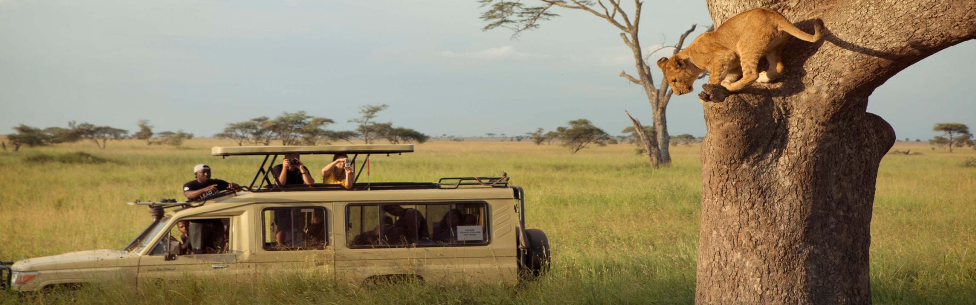 Embark on a 7-day Tanzania safari to Eyasi, Natron, Tarangire, Serengeti, and Ngorongoro Crater. Wild beauty and culture await