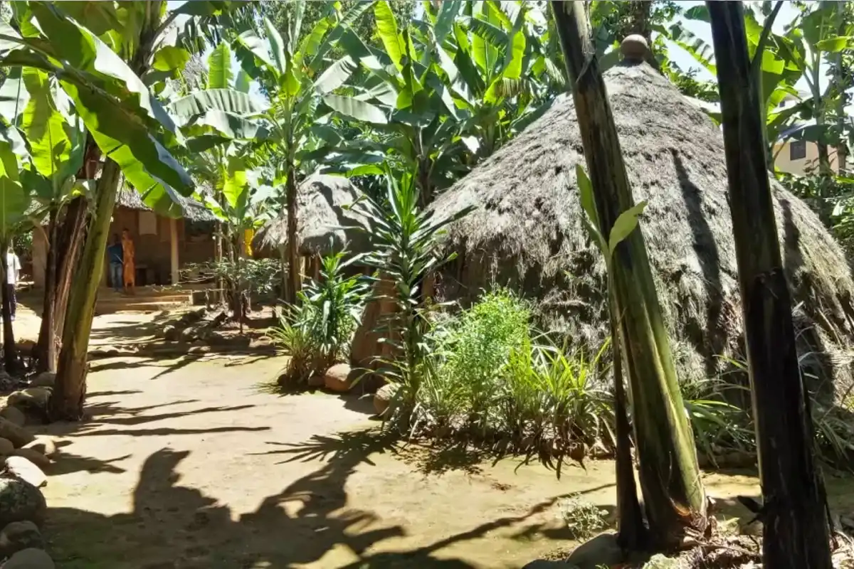 Marangu Cultural Tour
