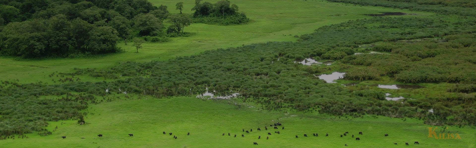 Arusha National Park Walking Safari