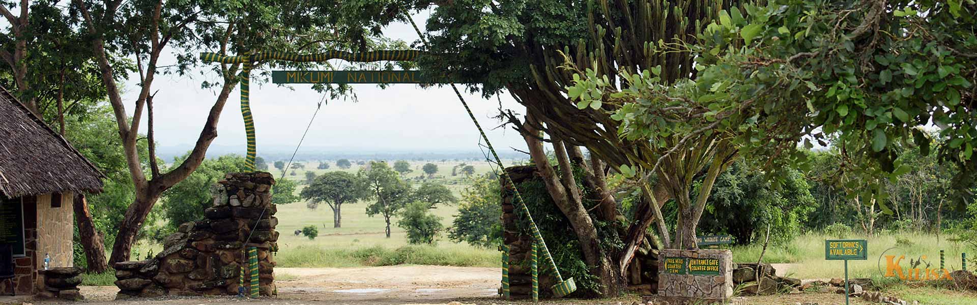 Mikumi National Park: Tanzania’s Accessible Safari Gem