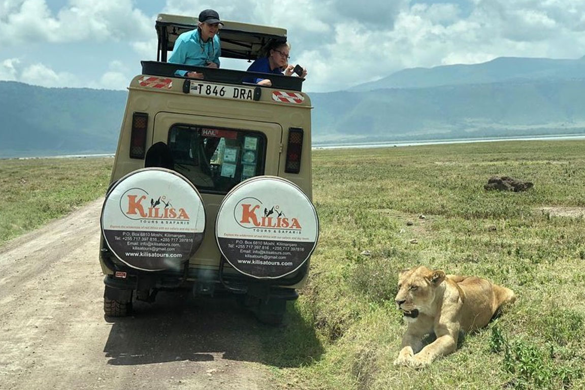 Kilisa Tours safari vehicle with an open roof near a lioness resting beside the track