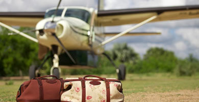 How to go to Tanzania safari destinations