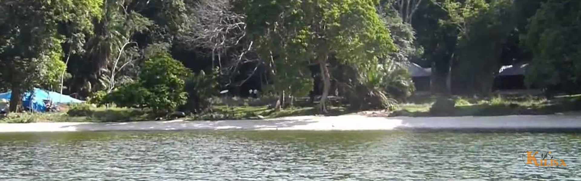 Rubondo Island National Park: Tanzania’s Lake Victoria Gem