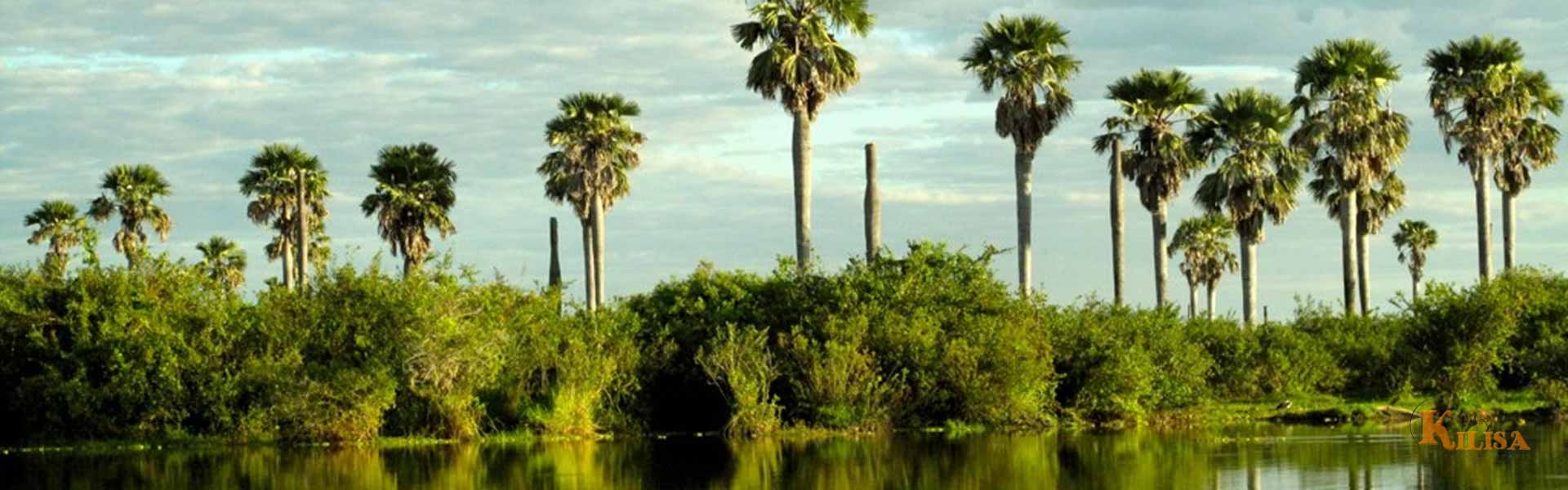 Selous Game Reserve: Nyerere National Park