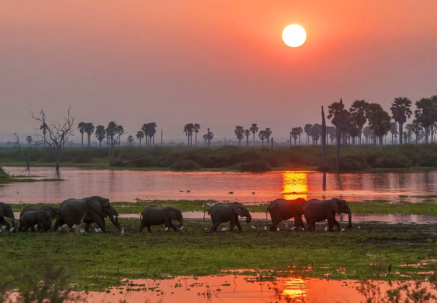 selous-game-reserve