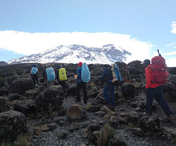 8 Days Crater Machame Route + 2 Nights in Hotel