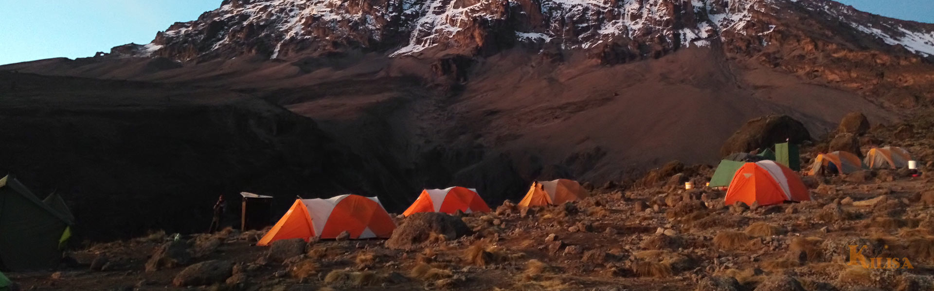 Lemosho Route Kilimanjaro: The Ultimate Scenic Route for High Success & Low Crowds