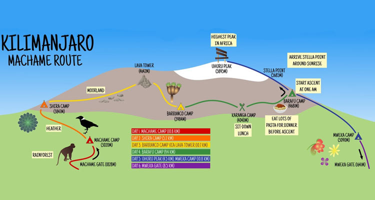 6 Days Machame Route + 2 Nights in Hotel